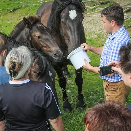 Laemmerhof Sankt Martin am Tennengebirge