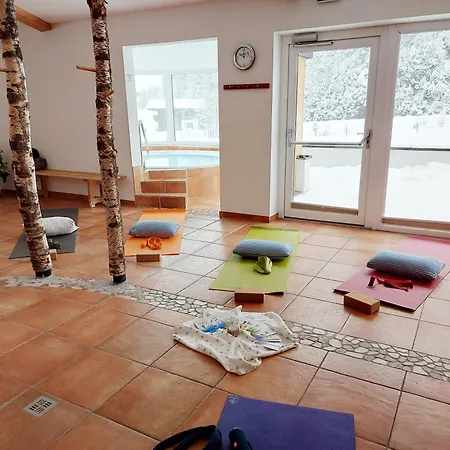 Laemmerhof 3* ザンクト・マルティン・アム・テンネンゲビルゲ